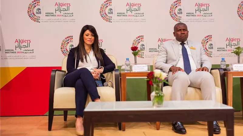 المشاط: الابتكار وريادة الأعمال ركيزتان أساسيتان لتجاوز 