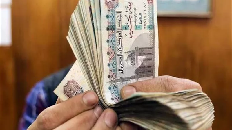 المعاش 
