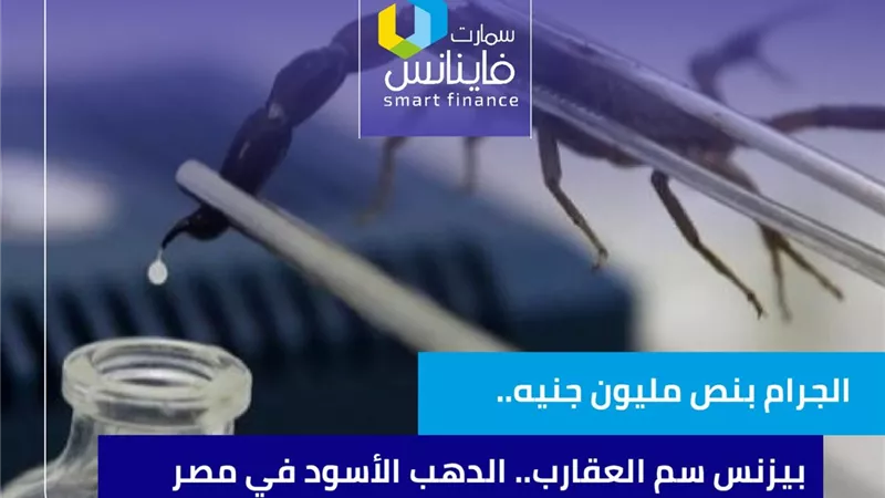 الجرام بنص مليون جنيه.. بيزنس سم العقارب.. الدهب الأسود في مصر
