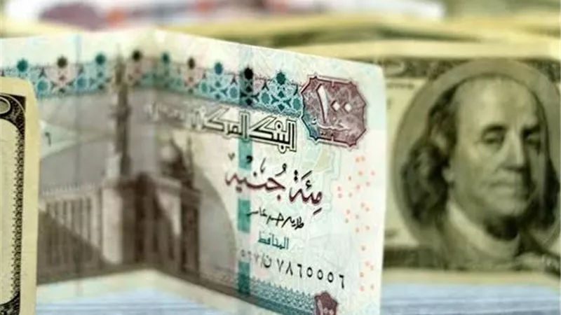 سعر الدولار أمام الجنيه اليوم السبت 3-1-2026 في البنوك المصرية