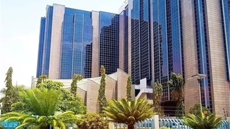 دعوى قضائية ضد البنك المركزي النيجيري بسبب عدم الكشف عن المدفوعات المباشرة للحكومات المحلية