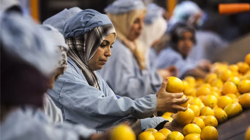 خسائر «النصر لتصنيع الحاصلات الزراعية» ترتفع 19% خلال 9 أشهر مع غياب المبيعات