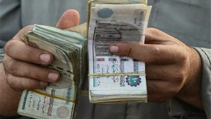 ما هي خطوات استعلام تكافل وكرامة 2025 بالرقم القومي؟