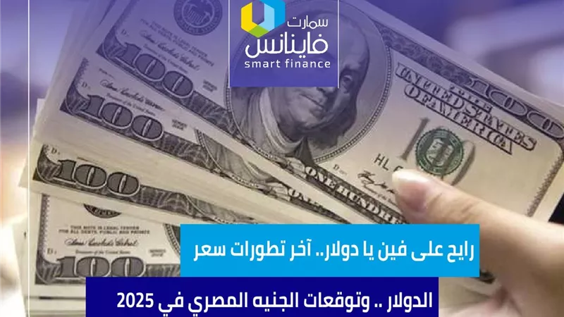 رايح على فين يا دولار.. آخر تطورات سعر الدولار .. وتوقعات الجنيه المصري في 2025
