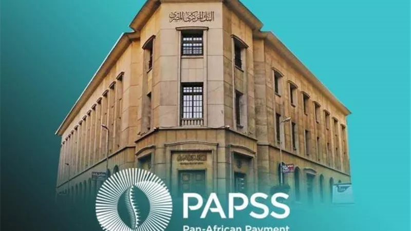 من القاهرة إلى أفريقيا.. نظام PAPSS المصرفي يرسم خريطة جديدة للتجارة بالعملات المحلية