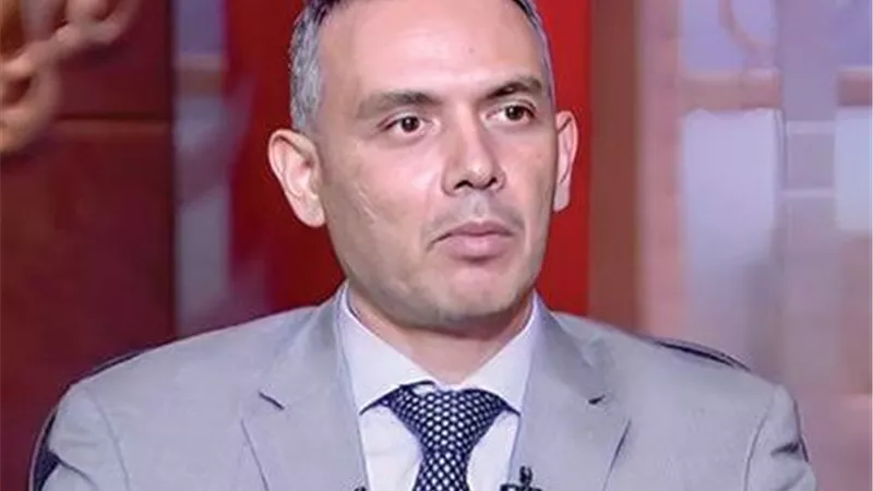 هاني جنينة: برنامج مصر مع صندوق النقد بـ8 مليارات دولار مقسمة إلى 8 مراجعات