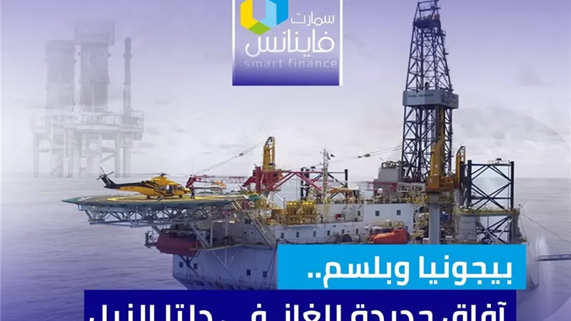 بيجونيا وبلسم.. آفاق جديدة للغاز في دلتا النيل