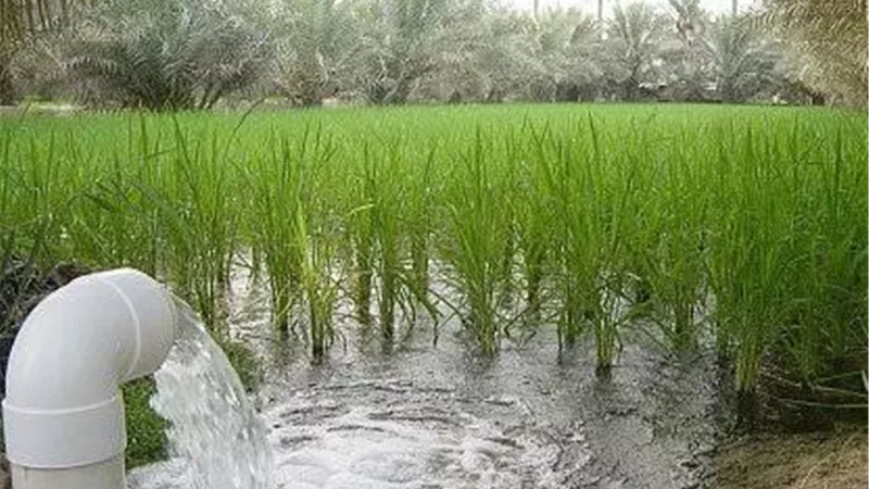 وزير الزراعة: مصر تعاني من مشكلة في المياه