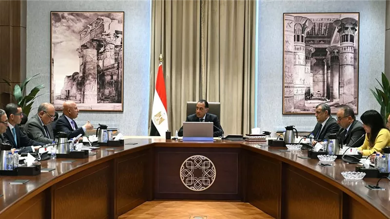 رئيس الوزراء يتابع جهود دعم وتوطين الصناعة بمصر خلال الفترة المقبلة 