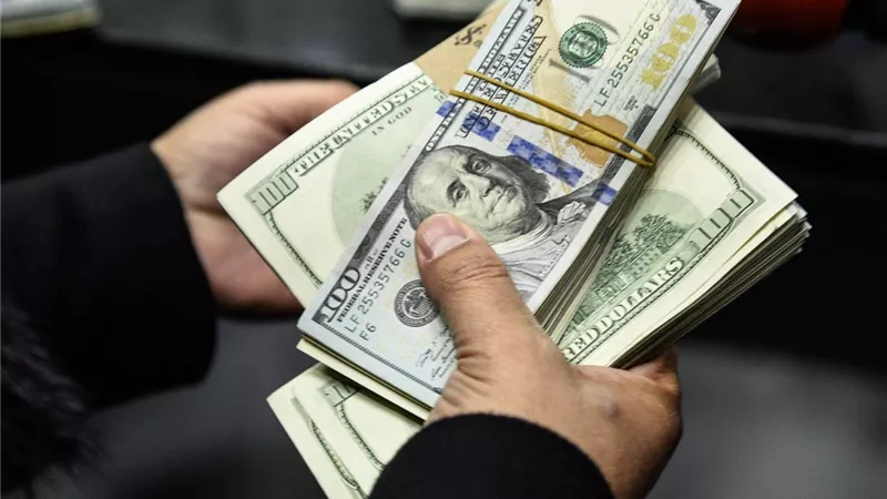 مصر تنادي أبناءها.. فرص استثمارية لا تفوت للمصريين بالخارج