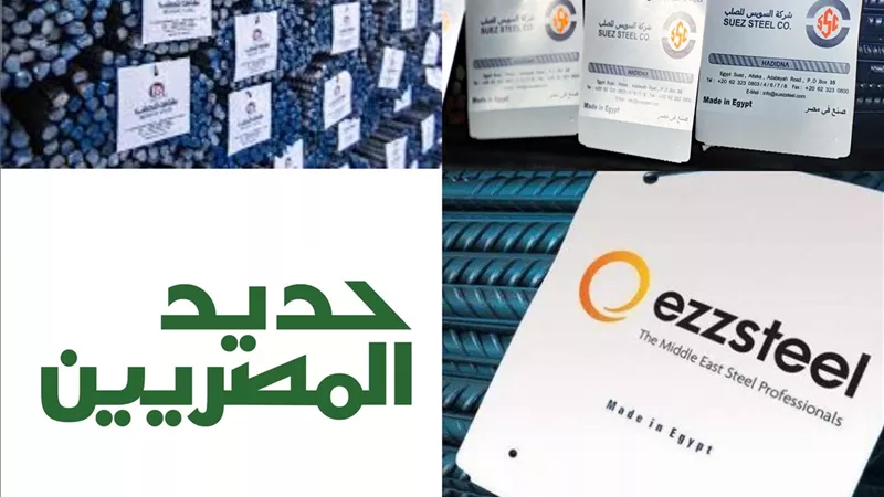 عز والمصريين وبيشاي.. تعرف إيه عن ملوك صناعة الحديد في مصر