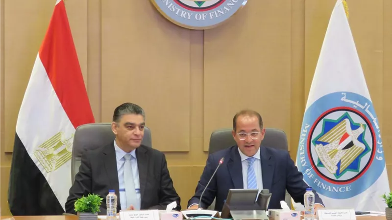 وزير المالية: إتاحة مصادر تمويل متعددة لتوفير السيولة النقدية اللازمة لشركات الأدوية
