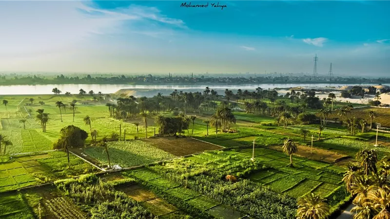 هيئة تنمية الصعيد توقع شراكة جديدة لدعم الاستثمار الزراعي وتوفير فرص عمل بالمحافظات الجنوبية