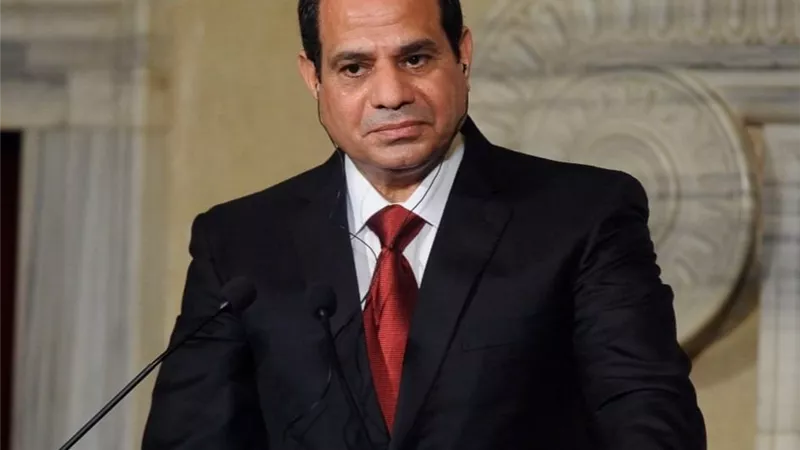 الرئيس السيسي: لا داعي للقلق من أي تهديد ما دمنا متحدين