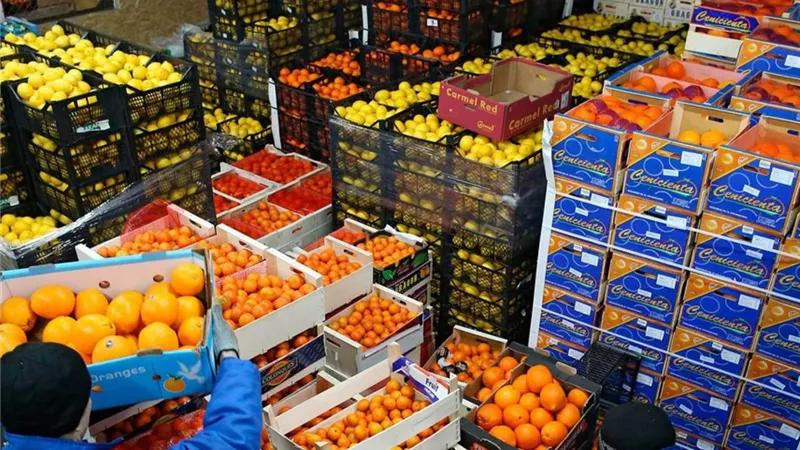 الصادرات المصرية تتصدر الأسواق الدولية.. 652 صنفًا غذائيًا يغزو 165 دولة بـ 220 ألف طن 