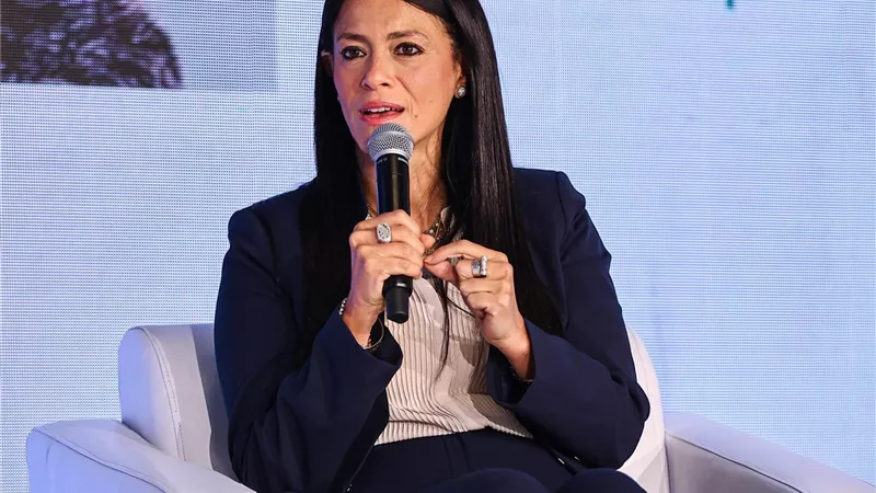 «التخطيط»: «السردية الوطنية» رؤية شاملة لإصلاح اقتصادي لا يقتصر على الجانب المالي