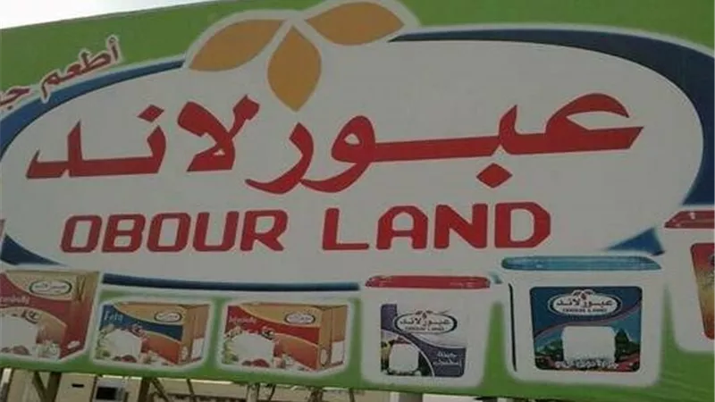مساهم يبيع 20 مليون سهم في «عبورلاند» مقابل 480 مليون جنيه