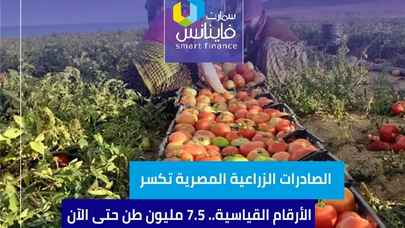 الصادرات الزراعية المصرية تكسر الأرقام القياسية.. 7.5 مليون طن حتى الآن