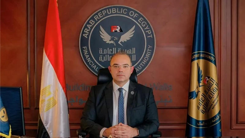 رئيس الرقابة المالية يناقش مع مجلس الاستقرار المالي سبل تطوير إدارة المخاطر 