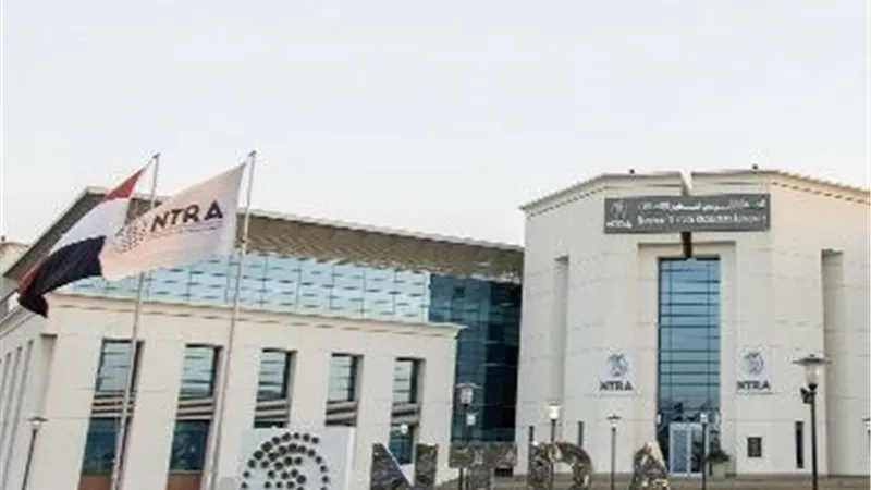 تنظيم الاتصالات: 10 مليارات جنيه حصيلة حوكمة استيراد المحمول بعد الرسوم الجمركية