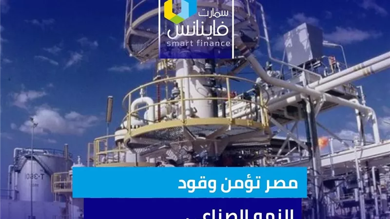 مصر تؤمن وقود النمو الصناعي