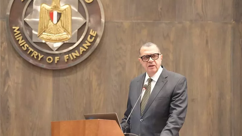 نائب وزير المالية: نعمل على دمج التجارة الإلكترونية بشكل أكبر لتعزيز تنوع الاقتصاد المصري