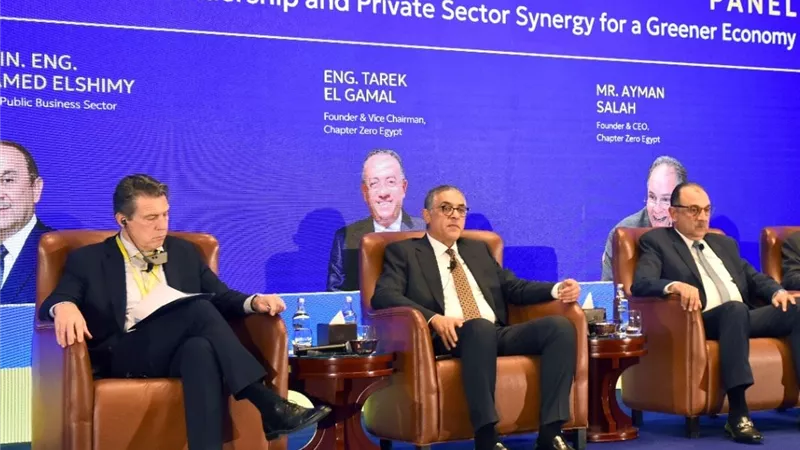 مصر تستعد لإنتاج الألواح الشمسية بنسبة مكون محلي 90% مطلع 2026  