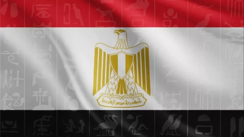بمناشدة فودافون..شركات ترفع علم مصر على صفحاتها احتفالًا بالافتتاح التاريخي للمتحف الكبير