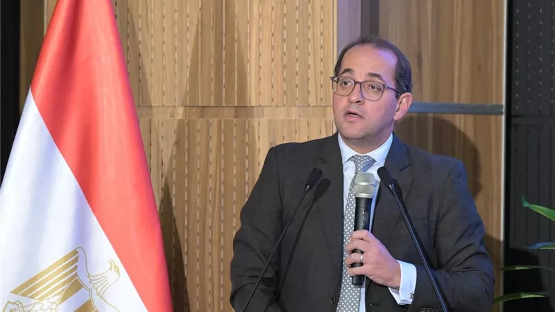وزير المالية: القطاع الخاص في مصر يقود قاطرة التنمية وارتفع بنسبة 37%