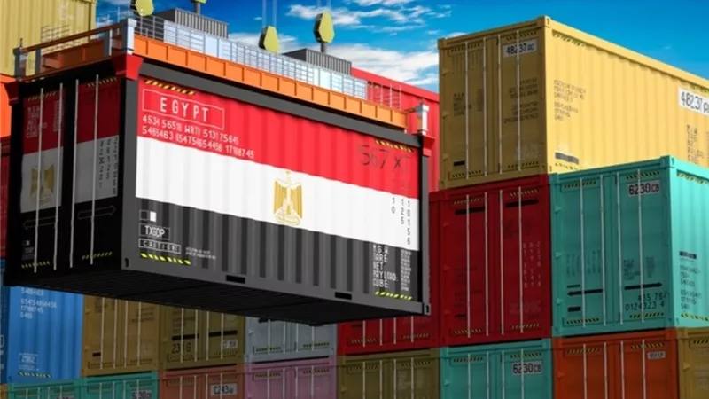صادرات مصر من زيت فول الصويا الخام تقفز 50% خلال 2025 وتسجل 196 مليون دولار