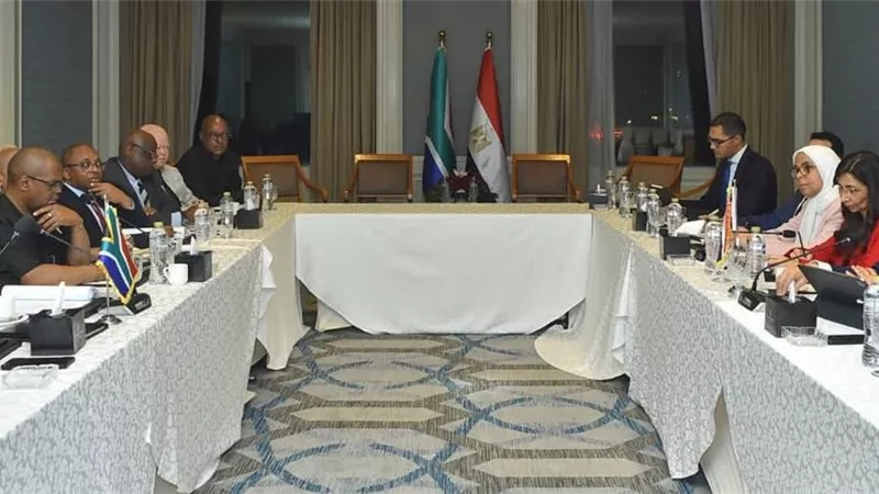 التعاون في صناعة السيارات وإنشاء مناطق لوجستية محور لقاء وزيري التجارة والاستثمار  