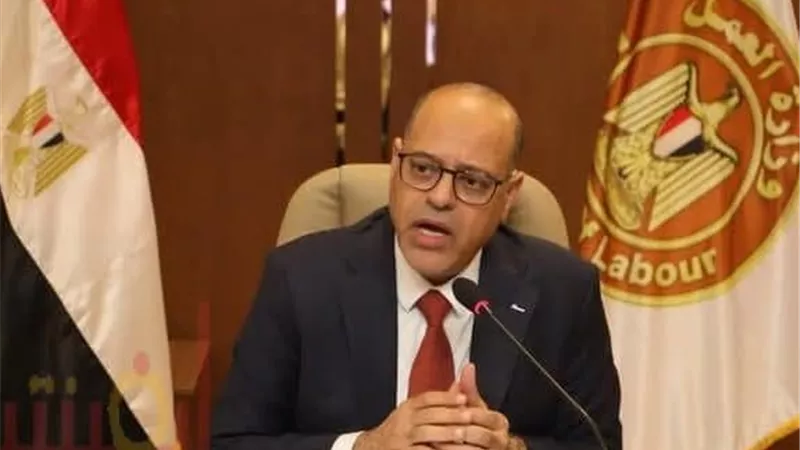 «العمل»: 4202 فرصة عمل جديدة للشباب وذوي الهمم في 14 محافظة