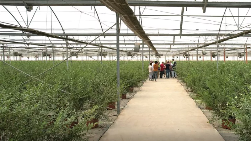 جهاز مستقبل مصر يتعاون مع شركة عالمية لتطوير الزراعة وزيادة الصادرات