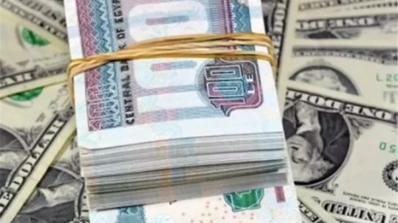 ارتفاع مفاجئ للدولار أمام الجنيه يثير قلق المتعاملين في البنوك