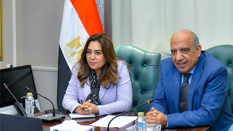 وزيرا الكهرباء والتنمية المحلية يبحثان توافق مشروعات الطاقة المتجددة مع معايير حماية التنوع البيولوجي