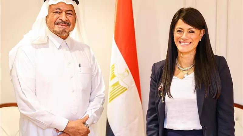 وزيرة التخطيط تبحث سبل التعاون مع رئيس مجموعة مستشفيات السعودي الألماني