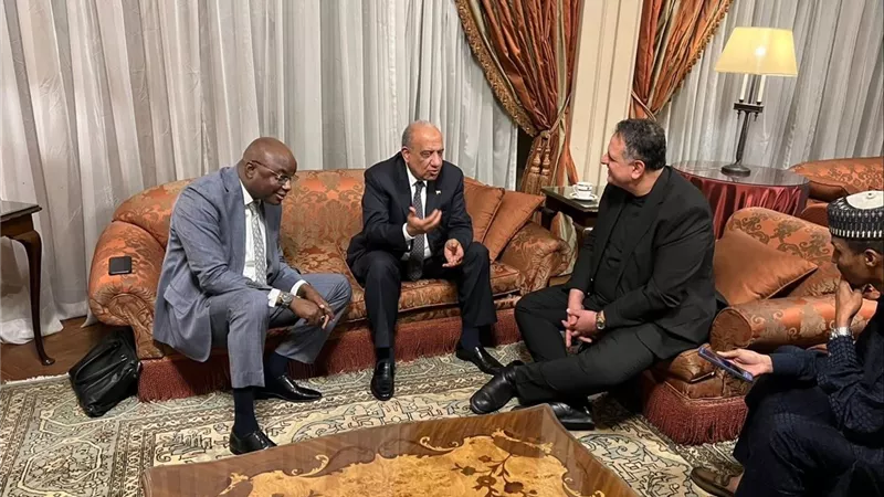 جانب من الفعاليات