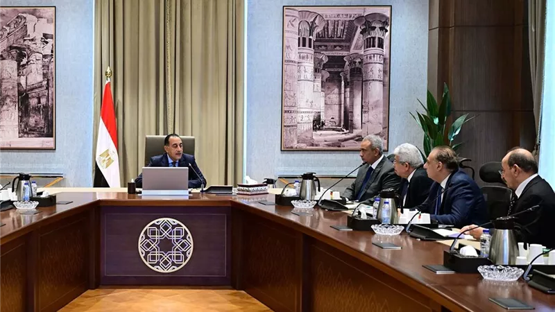 مدبولي يناقش مع اللجنة الاستشارية الملفات السياسية وزخم المتحف واتفاق السلام الفلسطيني