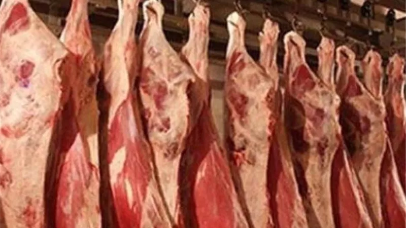 أمين نقابة الفلاحين: إنخفاض أسعار اللحوم والدواجن خلال شهر رمضان