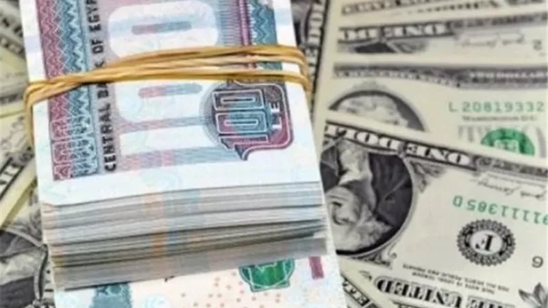 إلى أين يتجه الدولار في مصر بالتزامن مع مراجعة صندوق النقد الدولي؟