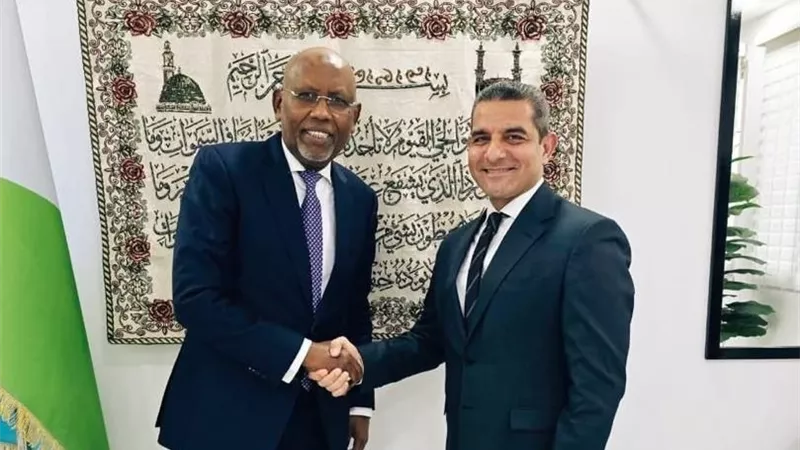 السفيرالمصري في جيبوتي يبحث مع وزير المالية تعزيز الاستثمارات وتنشيط التعاون الاقتصادي