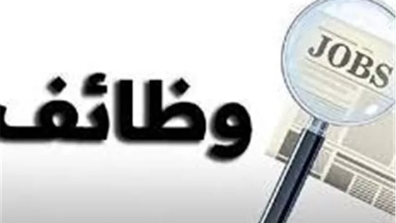 185 وظيفة جديدة برواتب مغرية في السويس..ووزارة العمل تفتح باب التقديم إلكترونيًا