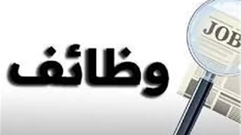 العمل تعلن تقدم 7000 شاب للتدريب المجاني وتوفير 75000 فرصة عمل جديدة