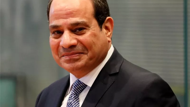 خلال لقاء السيسي.. رئيس 