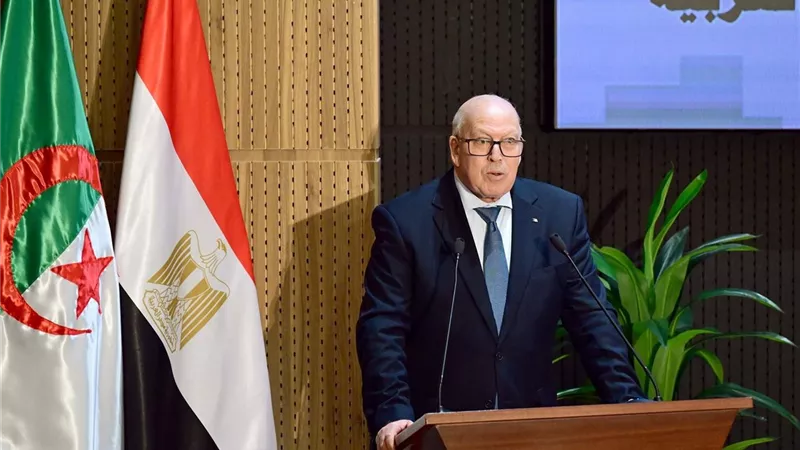وزير الصناعة الجزائري: الشراكة الثنائية مع مصر تنتقل إلى مستوى استراتيجي جديد