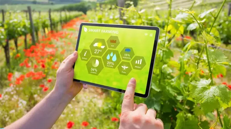 مشروع الاستثمارات الزراعية المستدامة ودوره بتحقيق الأمن الغذائي