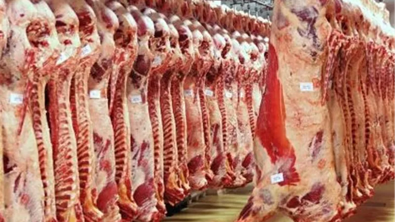 وفرة في اللحوم واستقرار بالأسعار.. عبدالباسط يكشف الخطوات الحكومية لتعزيز الأمن الغذائي 
