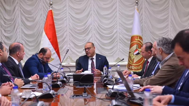 وزير العمل يبحث مع وفد 