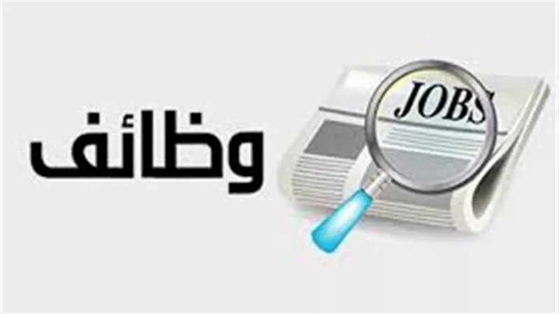 وزارة العمل تعلن نشرة وظائف نصف شهرية جديدة بمختلف المحافظات.. تعرف عليها 