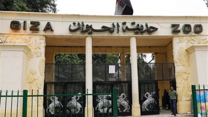 حدائق الحيوان والأسماك تستقبل أكثر من 67 ألف زائر في أول يومين من العيد.. واستجابة فورية لبلاغات الكلاب الحرة